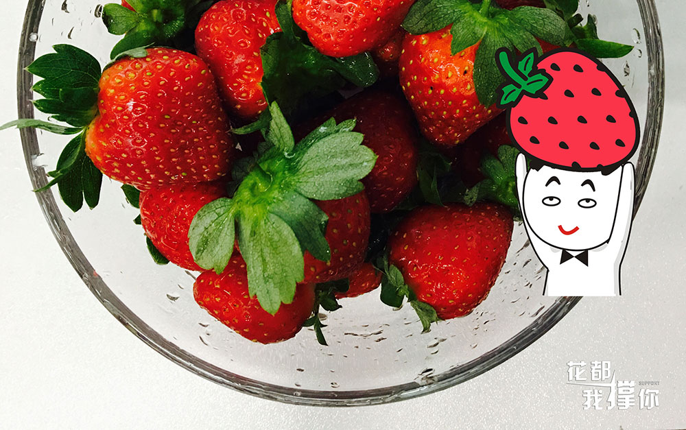 系时候摘草莓啦！带埋小朋友过一个草莓味噶周末！